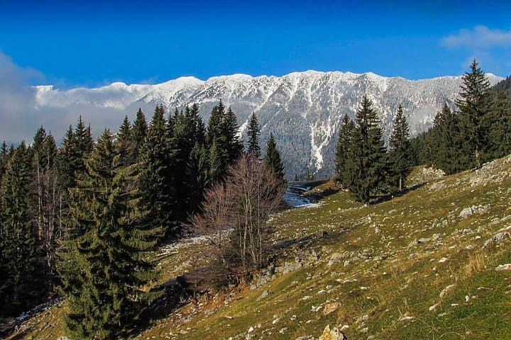 Piatra Craiului Day Hike: Ridge Routes to Ascutit Peak from Brasov photo 2