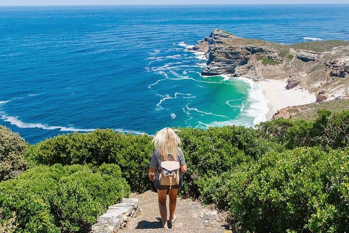 Full-Day Cape Peninsula & Boulders Beach Private Tour from Cape Town