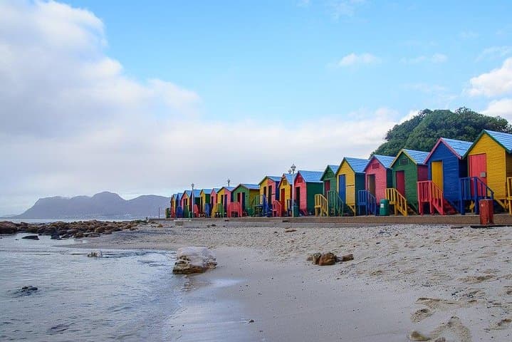 Full-Day Cape Peninsula & Boulders Beach Private Tour from Cape Town photo 2