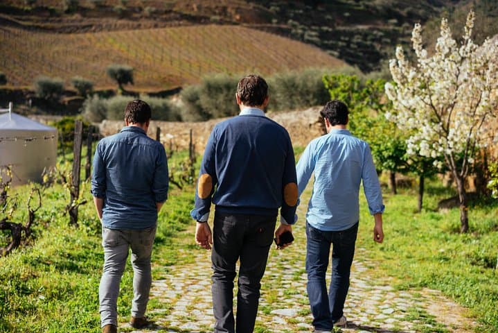 Douro Valley Private Day Trip from Porto — Boat Ride, Quinta Visit & Wine Tasting