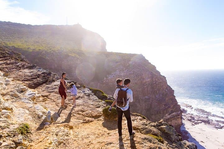 Cape Point & Constantia Wine Tour — Private Full-Day Cape Town Experience photo 4
