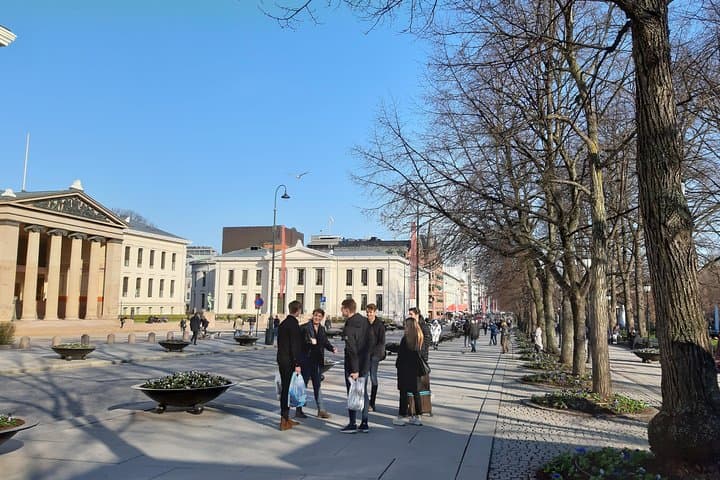 Oslo Highlights: Private Walking Tour with a Local Guide photo 4