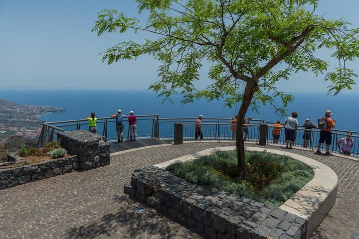 West Madeira to Porto Moniz: Natural Pools, Cliffs & Plateau Views photo 5