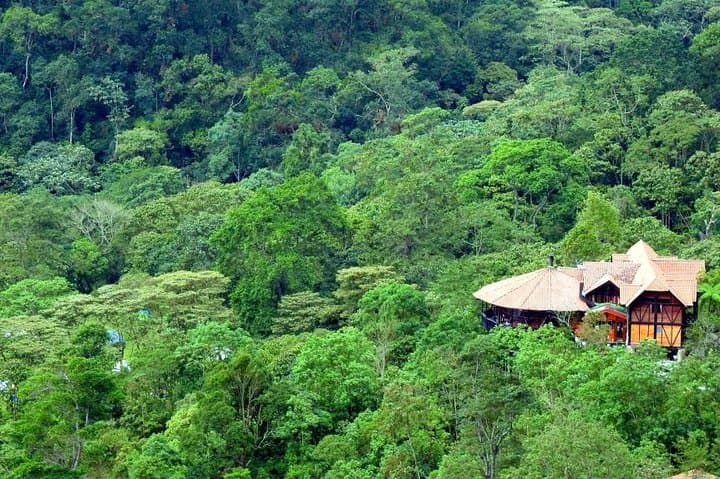 Chicaque Cloud Forest Birdwatching Day Trip from Bogotá (Private Tour with Lunch) photo 5