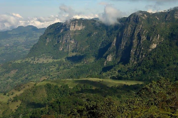 Chicaque Cloud Forest Birdwatching Day Trip from Bogotá (Private Tour with Lunch) photo 6