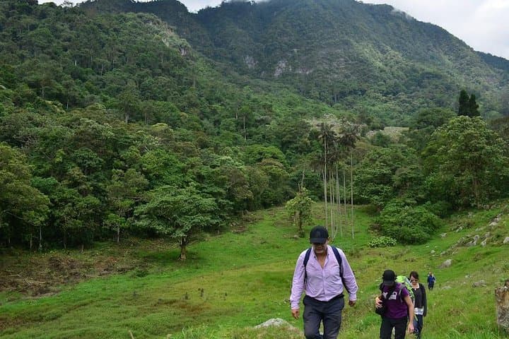 Chicaque Cloud Forest Birdwatching Day Trip from Bogotá (Private Tour with Lunch) photo 3