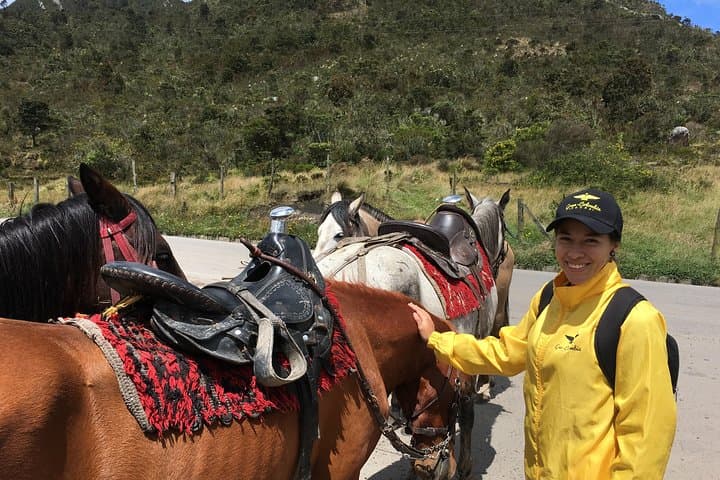 Horseback Riding from Guadalupe to Monserrate — Bogotá Private Day Tour photo 3