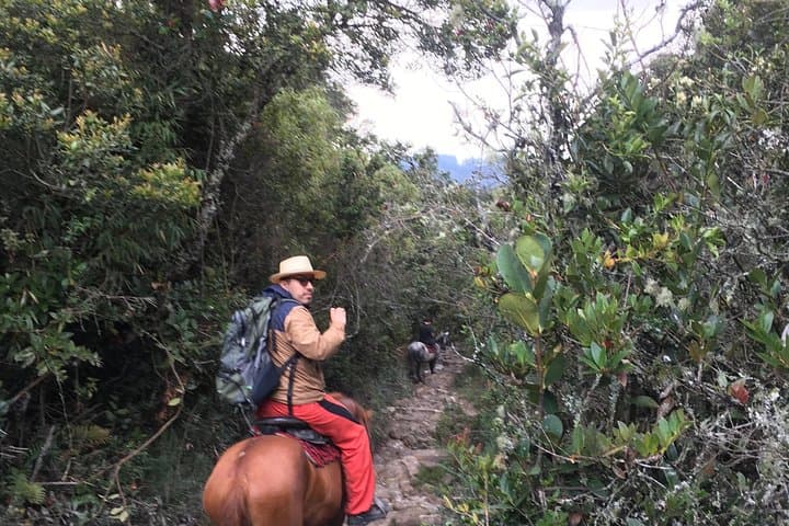 Horseback Riding from Guadalupe to Monserrate — Bogotá Private Day Tour photo 5