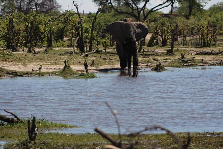 Makgadikgadi Meerkat Safari: 4-Night Stargazing & Okavango Delta Adventure photo 4