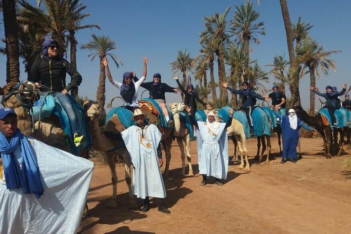 Half-Day Camel Ride in Marrakech Palm Grove — Sunset Camels & Berber Tea photo 2