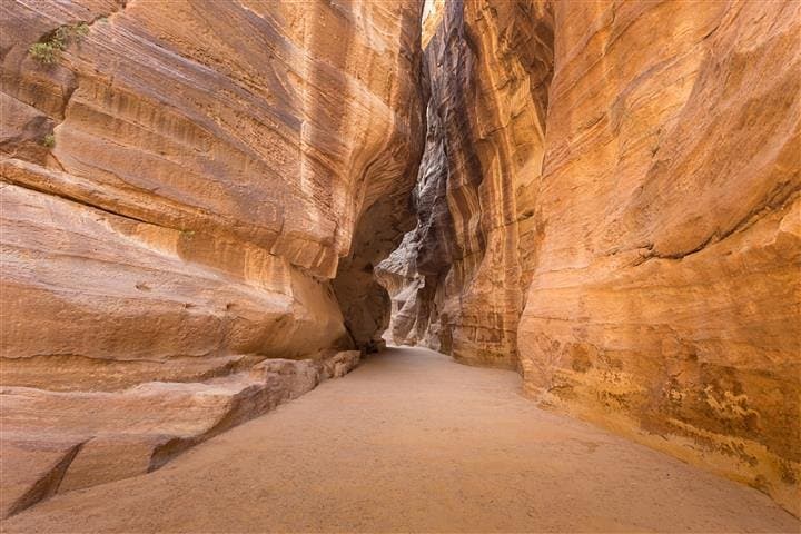 Petra and Wadi Rum 2-Day Tour from Eilat: Petra, Bedouin Camp and Aqaba Transfer photo 4
