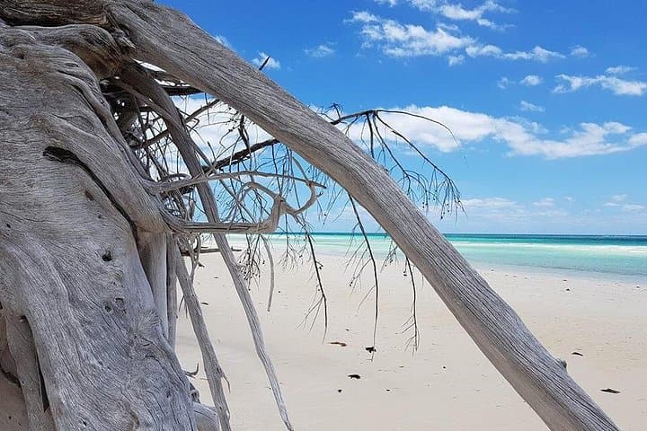 Private East End Day Trip: Lucayan National Park, Port Lucaya & Gold Rock Beach photo 2