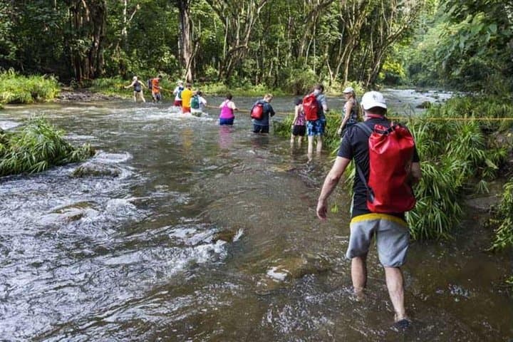Paddle to Sacred Falls: Wailua River Kayak and Guided Hike with Lunch photo 3