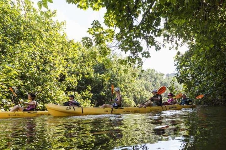 Paddle to Sacred Falls: Wailua River Kayak and Guided Hike with Lunch photo 2