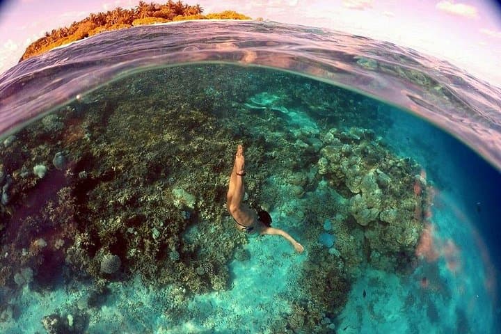 Full-Day Maldives Adventure: Sandbanks, Dolphins & Snorkeling off Hulhumalé photo 2