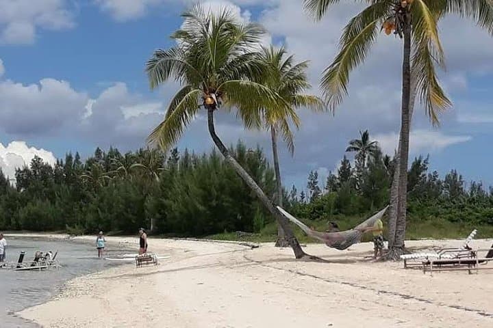 Swim with the Pigs — West End Crystal Beach Private Daytrip from Freeport photo 2
