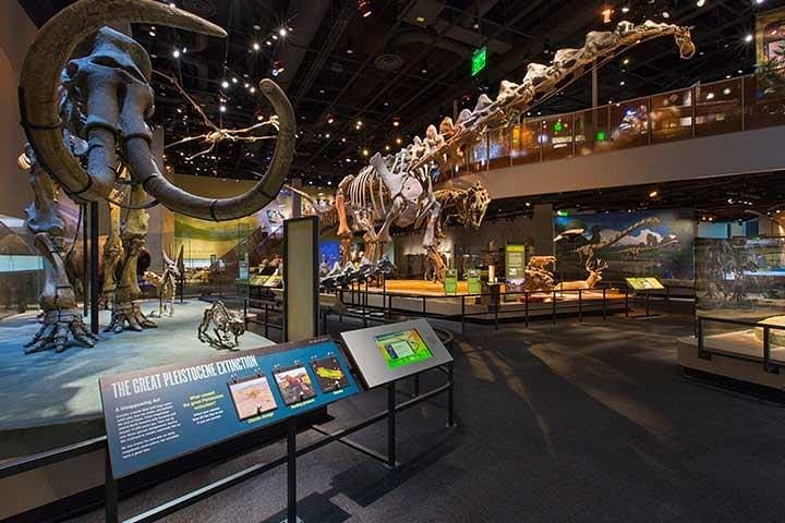 Dallas CityPASS: Save on Perot Museum, Reunion Tower & Top Dallas Attractions photo 2