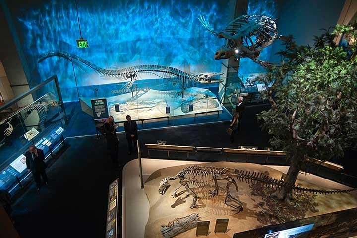 Dallas CityPASS: Save on Perot Museum, Reunion Tower & Top Dallas Attractions photo 4