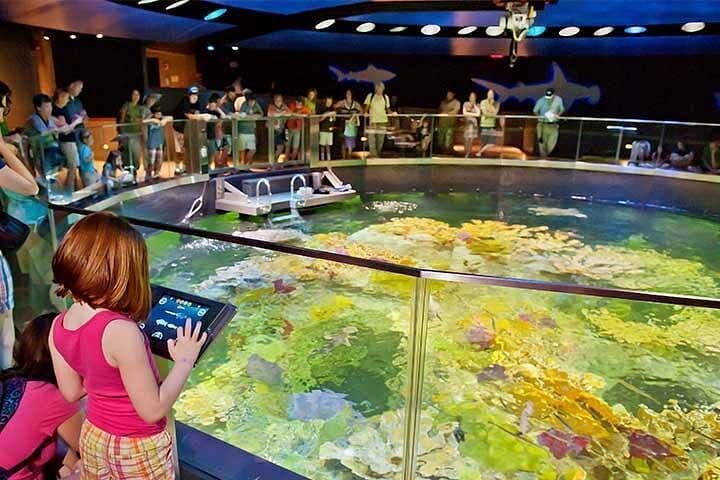 Boston CityPASS: 9-Day Ticket to Aquarium, Museum, Harbor Cruise & More photo 2