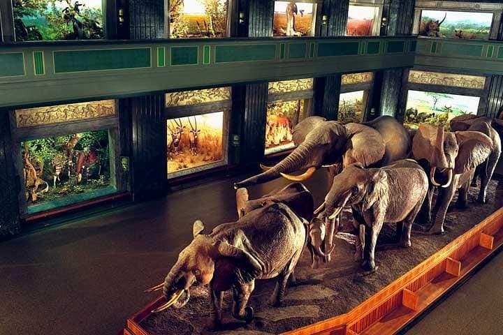 How to Sightsee New York Efficiently with a New York CityPASS photo 6