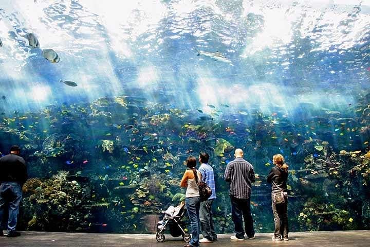 Explore Atlanta’s Top Attractions with the Atlanta CityPASS® photo 5