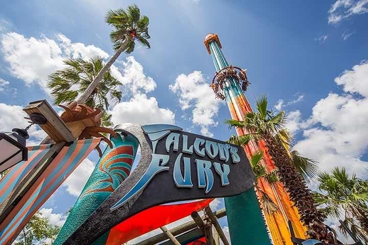 Explore Tampa Bay’s Top Attractions with CityPASS®: A Practical Guide to Adventure and Fun photo 2
