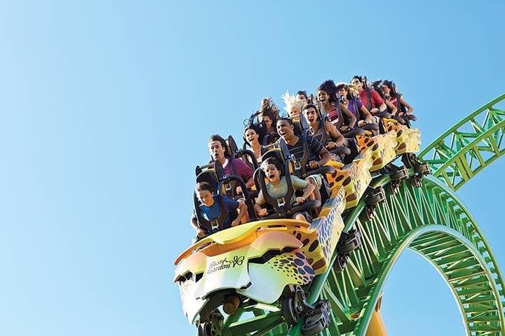 Explore Tampa Bay’s Top Attractions with CityPASS®: A Practical Guide to Adventure and Fun photo 4