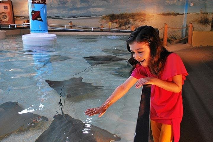 Explore Tampa Bay’s Top Attractions with CityPASS®: A Practical Guide to Adventure and Fun photo 6