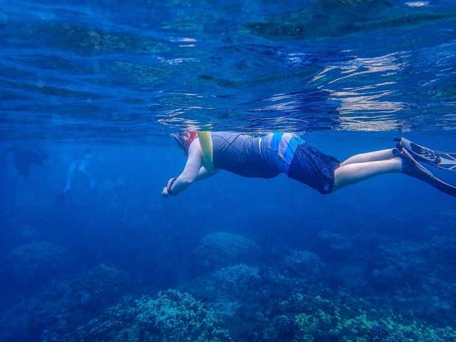 Molokini Snorkel & Sail from Maalaea Harbor — Day Trip to the Crescent Crater photo 6