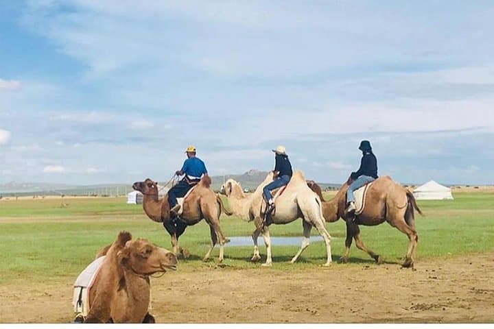 6-Day Private Gobi Desert Tour — Khongor Dunes, Flaming Cliffs & Nomad Life photo 4