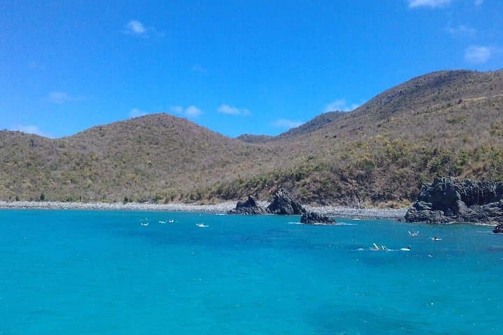 Sailing Sint Maarten: Full-Day Eco Snorkel to Tintamarre & Creole Rock photo 5