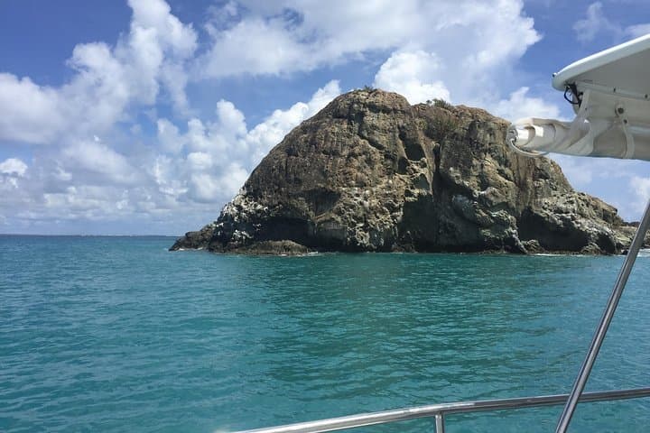 Sailing Sint Maarten: Full-Day Eco Snorkel to Tintamarre & Creole Rock photo 6