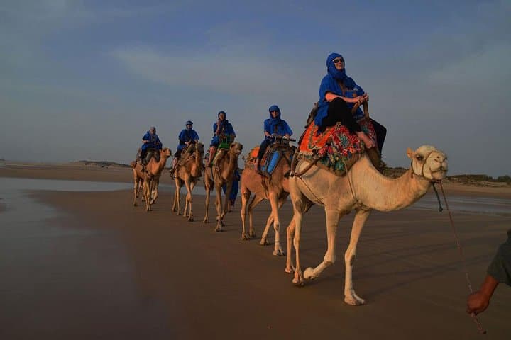 Sunset Camel Ride in Essaouira — 3-Hour Dunes, Beaches & Ruins photo 5