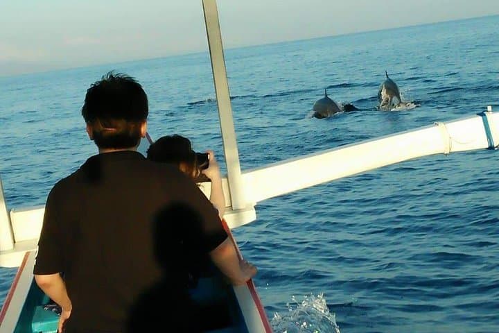 Lovina Sunrise Dolphin Watching and Twin Banyumala Waterfall Day Trip — North Bali Adventure