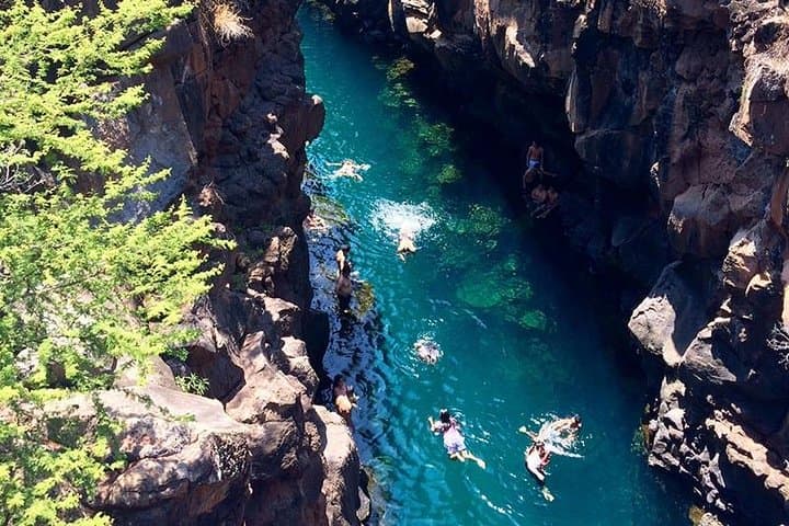 Exploring Santa Cruz Bay: A Snorkeling and Wildlife Adventure in the Galapagos Islands