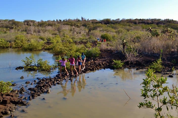Exploring Santa Cruz Bay: A Snorkeling and Wildlife Adventure in the Galapagos Islands photo 6