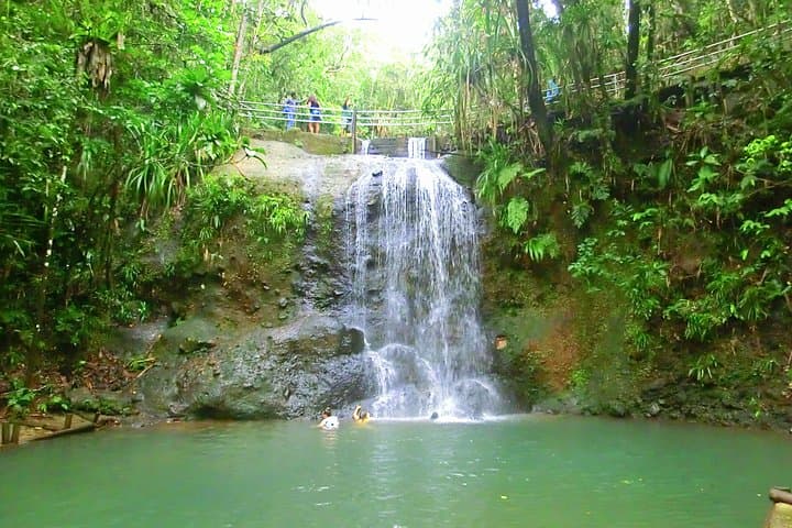 Private Colo-i-Suva Forest & Waterfall Tour from Suva photo 5