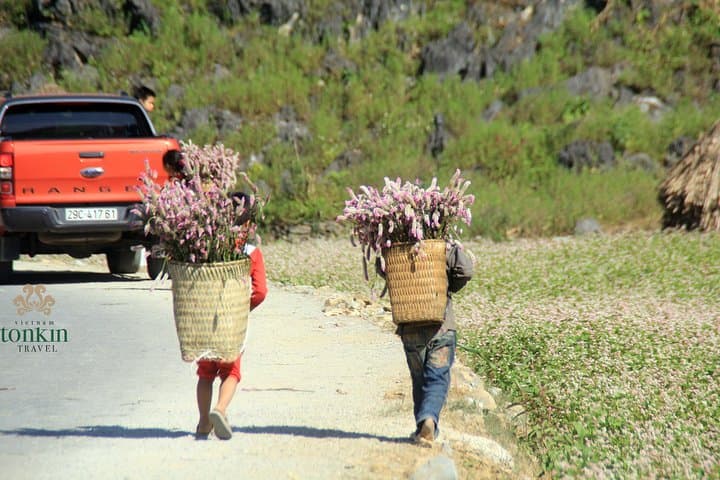 Ha Giang 3-Day Adventure: Dong Van, Ma Pi Leng & Du Gia National Park photo 4