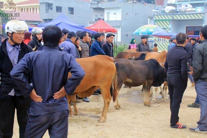 Ha Giang 3-Day Adventure: Dong Van, Ma Pi Leng & Du Gia National Park photo 5