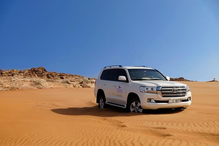 Private Sunrise Desert Safari in Dubai: Dune Driving, Camel Rides & Sandboarding photo 5