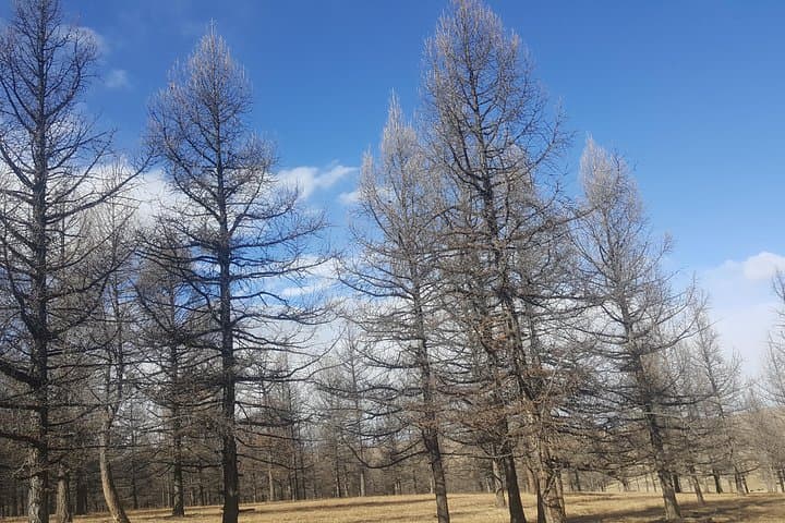 Tsenkher Hot Spring to Khuvsgul Lake: 11-Day Mongolian Overland Adventure photo 4