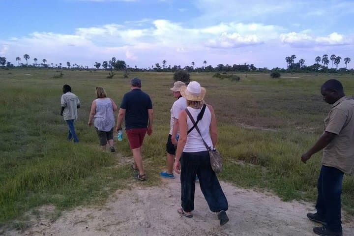 Mokoro Day Trip — Okavango Delta Dugout Canoe Safari from Maun photo 2
