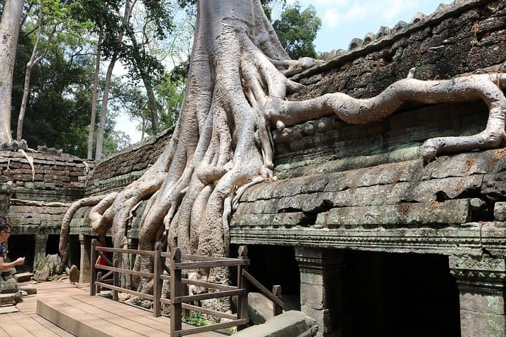 Small-Group Angkor Temples Full-Day Explorer: Angkor Wat, Bayon & Ta Prohm photo 5
