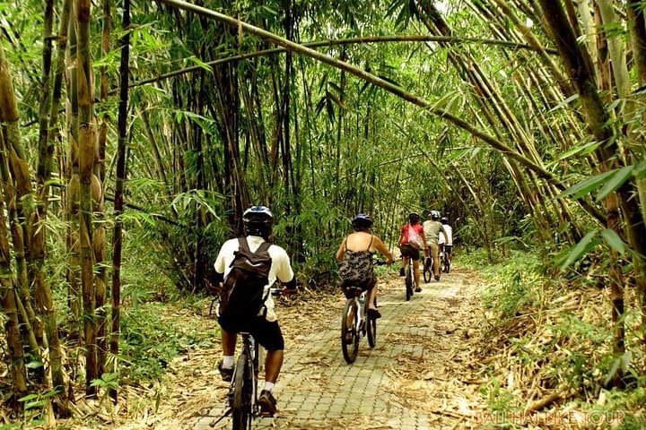 Bali Downhill Cycling and Ayung River Rafting: Kintamani to Ubud Adventure photo 3