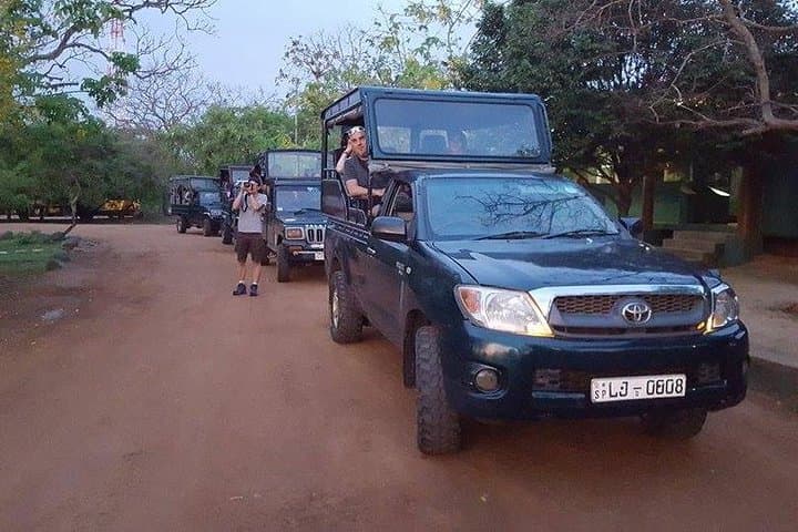 Private Yala National Park Safari — Early-Morning Jeep Tours for Leopards, Elephants & Sloth Bears photo 3