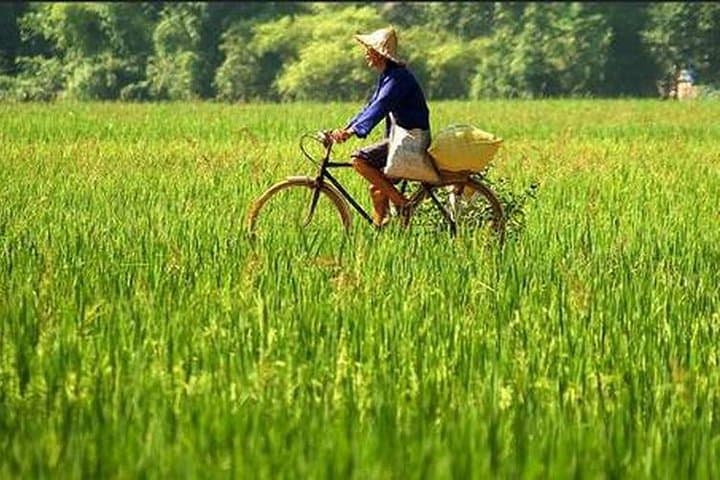 Mai Chau Valley 2-Day Homestay & Cycling Adventure from Hanoi