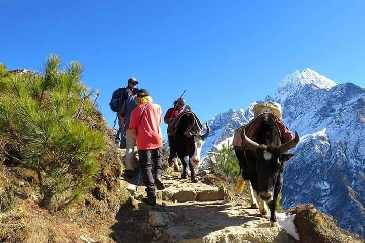 14-Day Everest Base Camp Trek from Kathmandu — All-Inclusive Guide