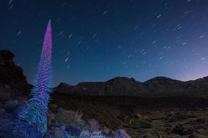 Mount Teide Night Tour: Stargazing, Dinner & Hotel Pickup in Tenerife