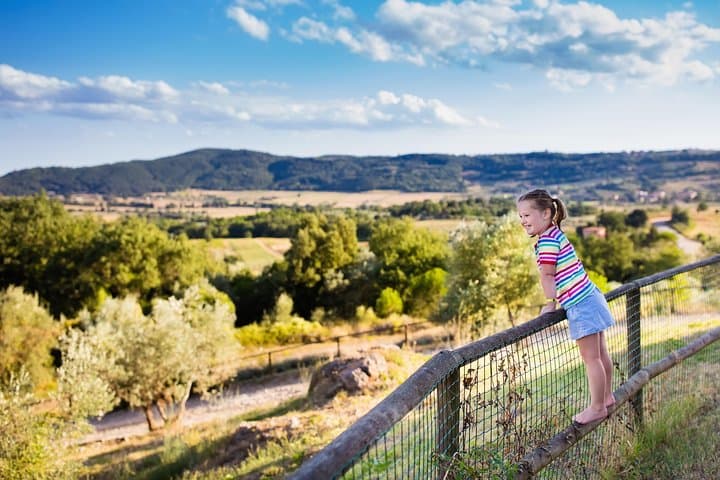 Private Chianti Wine Tasting Day Trip from Florence — Wineries, Lunch & Hilltop Village photo 4