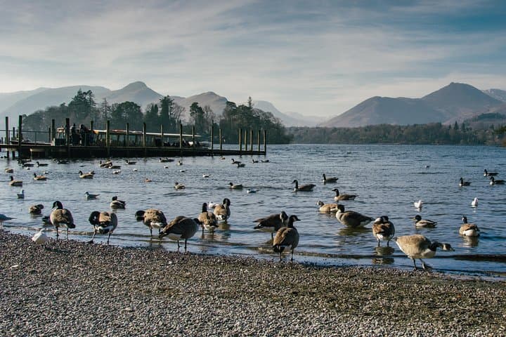 Ten Lakes Spectacular: Private Lake District Tour from Windermere photo 4